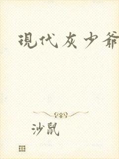 现代灰少爷