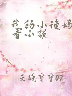我的小后妈免费看小说
