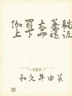 伽罗太华躺在床上下面还流东西