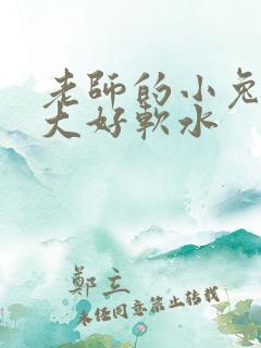 老师的小兔子好大好软水