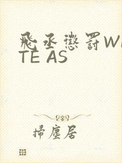 飞丞惩罚WRITE AS