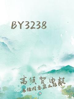 BY3238