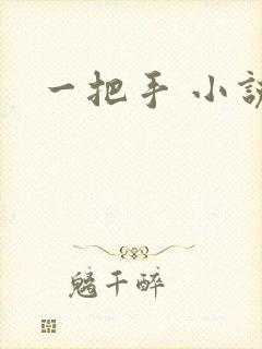 一把手 小说