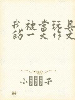 我被当玩具发泄的一天作文