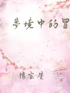 梦境中的冒险家