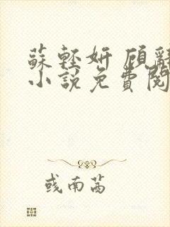 苏轻妍 顾辞笙小说免费阅读