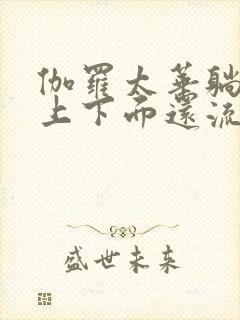 伽罗太华躺在床上下面还流东西