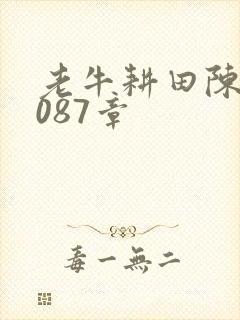 老牛耕田陈雪1087章