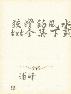 狡猾的风水相师txt全集下载