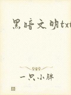 黑暗文明txt