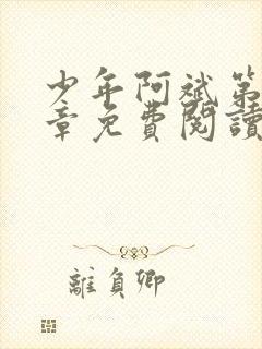 少年阿斌第13章免费阅读