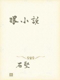 眼小说