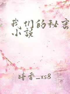 我们的秘密泰剧小说