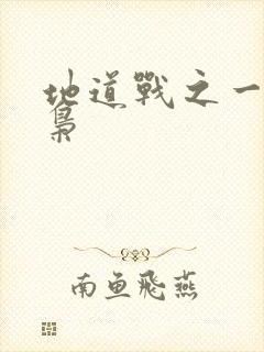 地道战之一代功枭