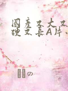 国产又大又粗又硬又长A片小说