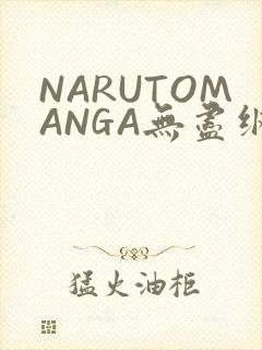 NARUTOMANGA无尽纲手