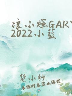 浪小辉GARY2022小蓝