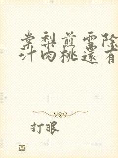 棠梨煎雪除了蜜汁肉桃还有什么肉