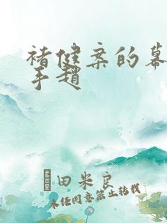 褚健案的幕后黑手赵