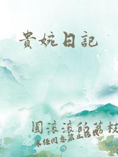 贵婉日记