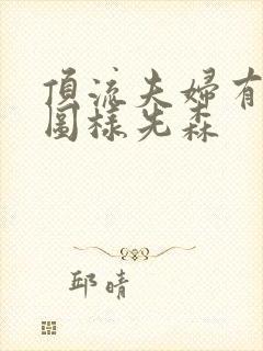 顶流夫妇有点甜图样先森