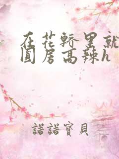 在花轿里就开始圆房高辣h