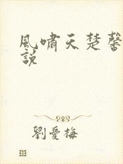 风啸天楚馨月小说