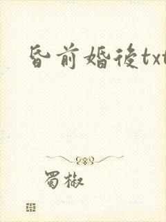 昏前婚后txt