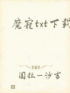 魔宠txt下载