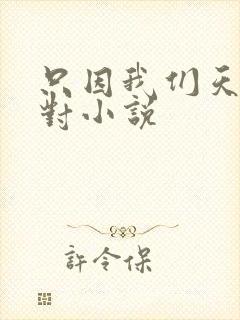 只因我们天生一对小说