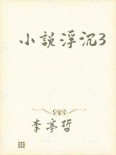 小说浮沉3