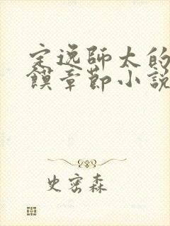 定逸师太的肉夹馍章节小说