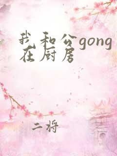 我和公gong在厨房