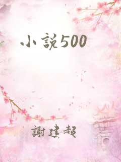 小说500