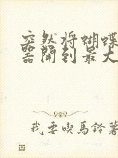 突然将蝴蝶遥控器开到最大