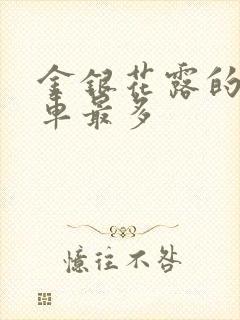 金银花露的哪个车最多