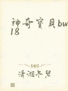神奇宝贝bw118