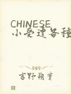 CHINESE小受遭各种打桩