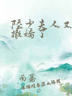 陆少夫人又双叒撒娇了