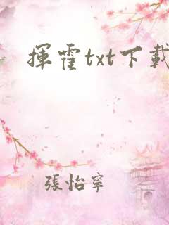 挥霍txt下载