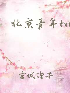 北京青年txt