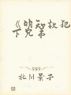 《明知故犯》年下兄弟