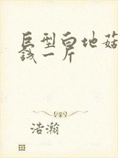 巨型白地菇多少钱一斤