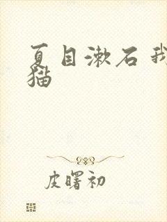 夏目漱石 我是猫