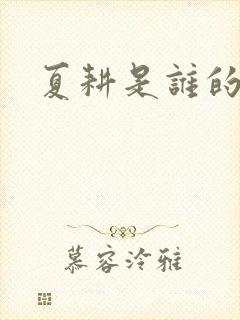 夏耕是谁的女婿