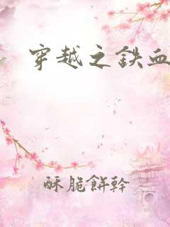 穿越之铁血抗战