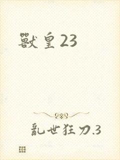 兽皇23