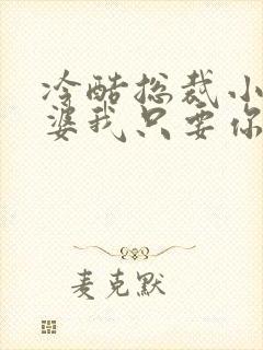 冷酷总裁小小老婆我只要你