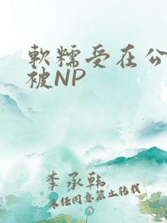 软糯受在公交车被NP