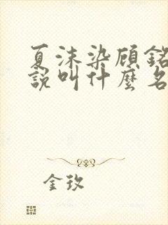 夏沫染顾铭修小说叫什么名字